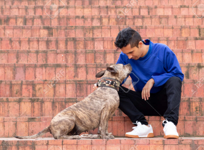 <em><strong>Martin R.</strong></em>